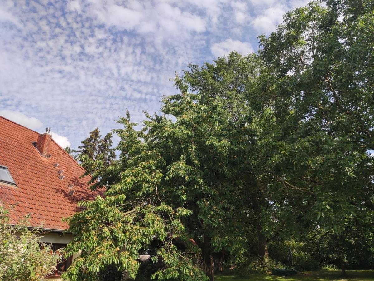 Five Oaks - Rote Wohnung Hohenkirchen  ภายนอก รูปภาพ